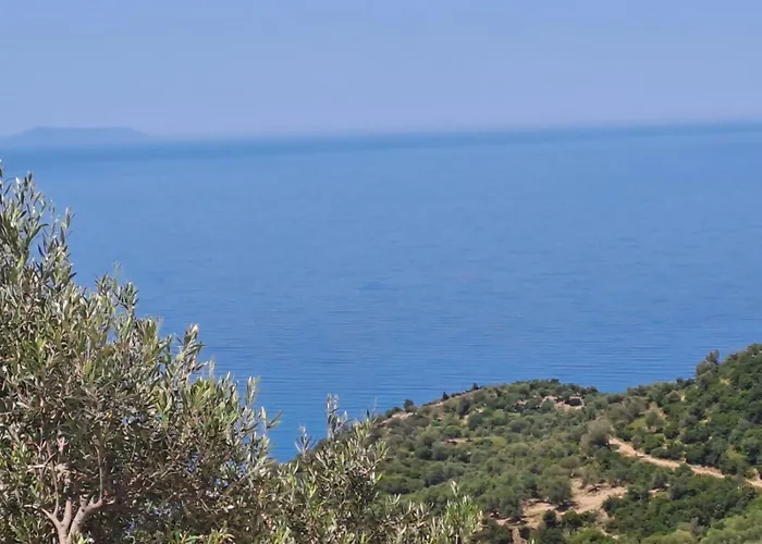 Adriatik Apartments Aa