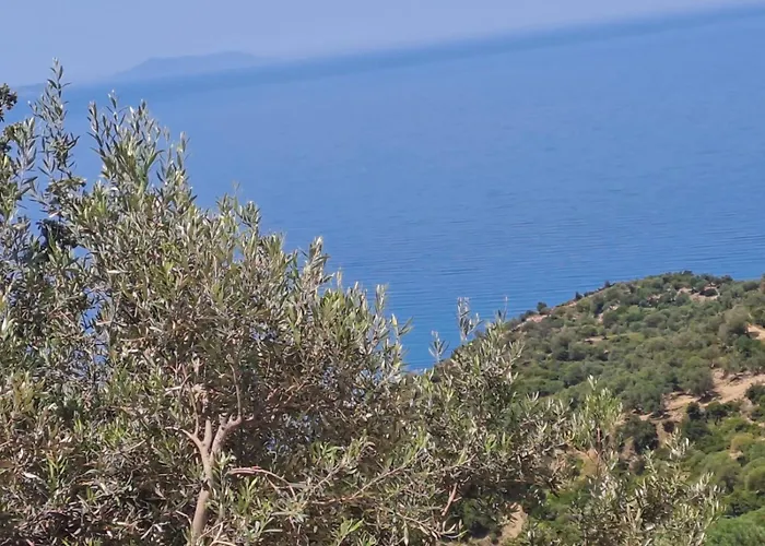 Adriatik Apartments Aa