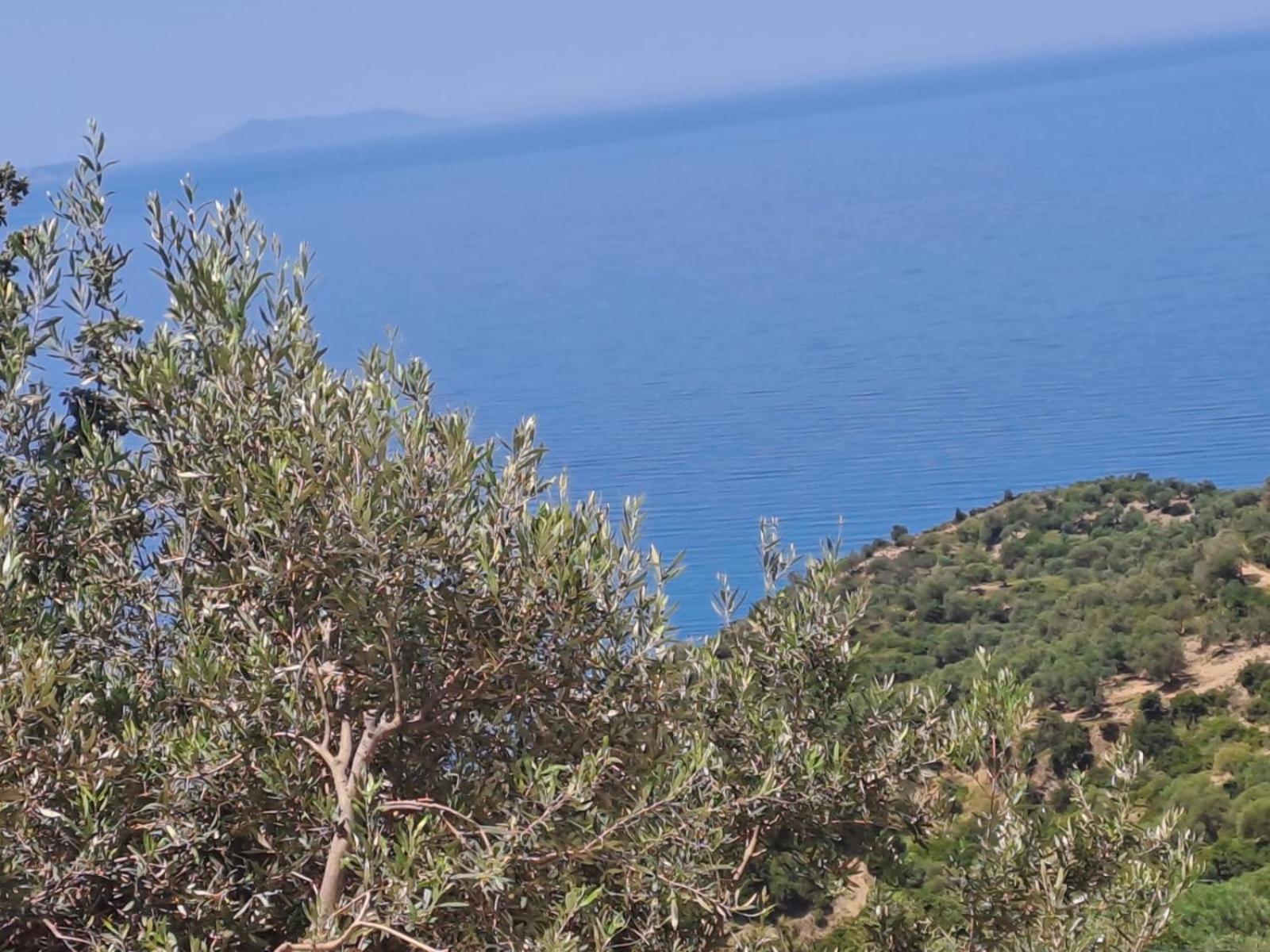 Adriatik Aa Piqeras